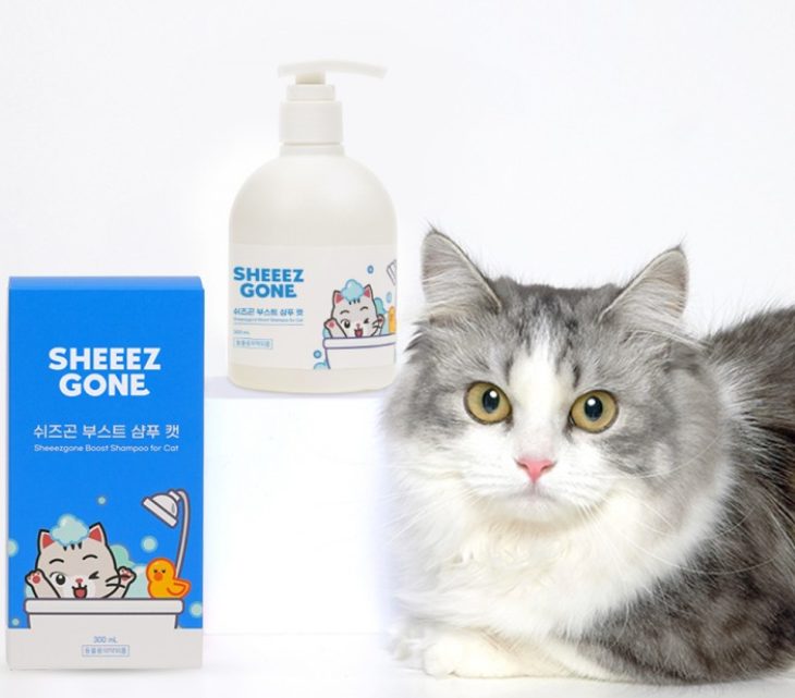 고양이 링웜, 고양이 피부병, 고양이 곰팡이 피부병, 고양이 영양제