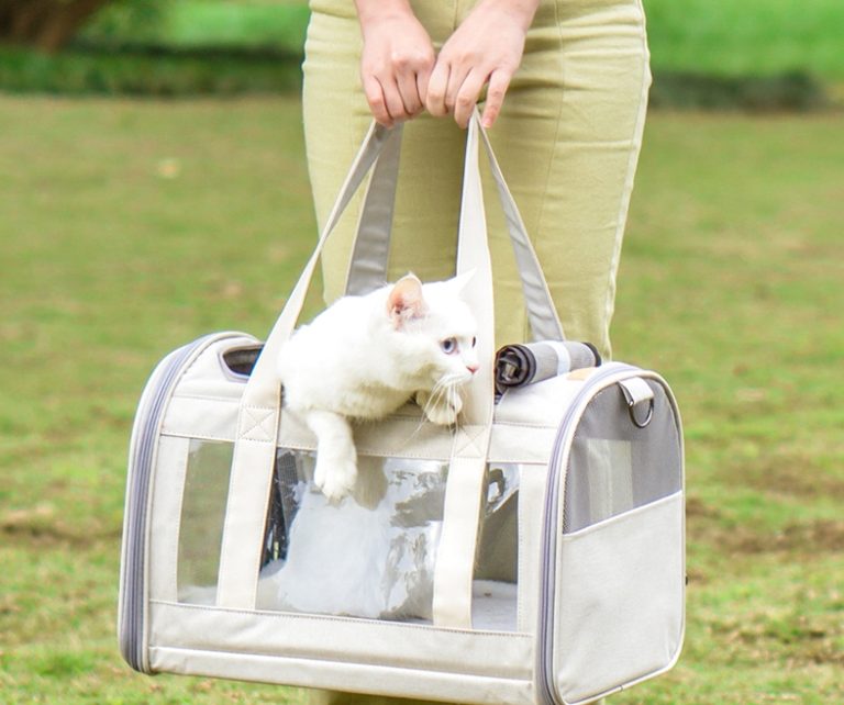 고양이 중성화 시기, 환묘복, 넥카라, 수컷 고양이 중성화, 고양이 발정기