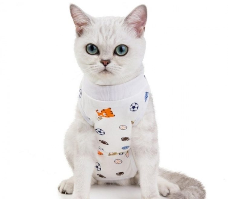 고양이 중성화 시기, 환묘복, 넥카라, 수컷 고양이 중성화, 고양이 발정기